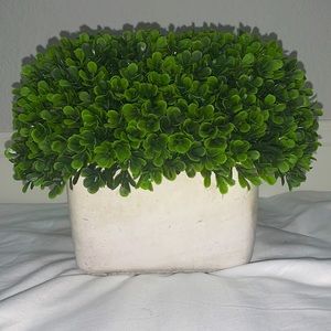 fake succulent with rusted pot style